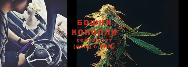спайс Беломорск