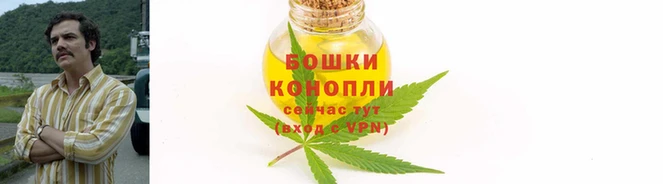 спайс Беломорск