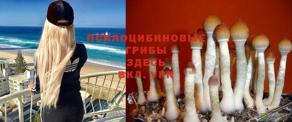 спайс Беломорск
