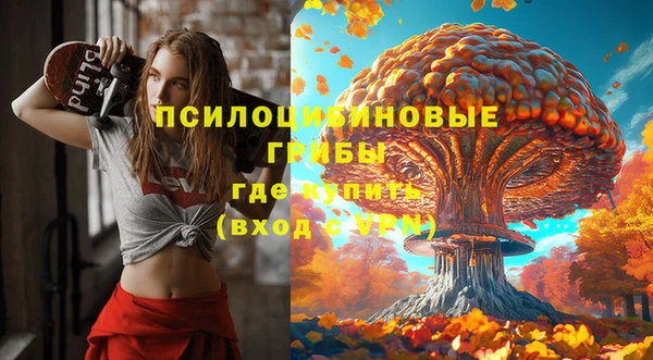 спайс Нея