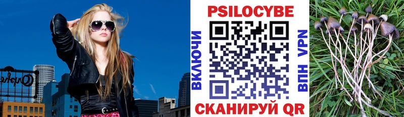 Псилоцибиновые грибы GOLDEN TEACHER  хочу   Красноуральск 